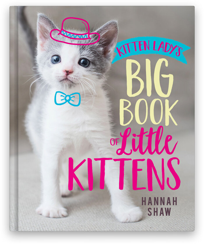 Cover of Shaw's book with a cute white and black kitten with a hat and a bow